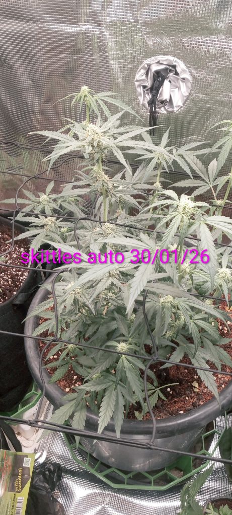 Image #2 from Sean Richardson