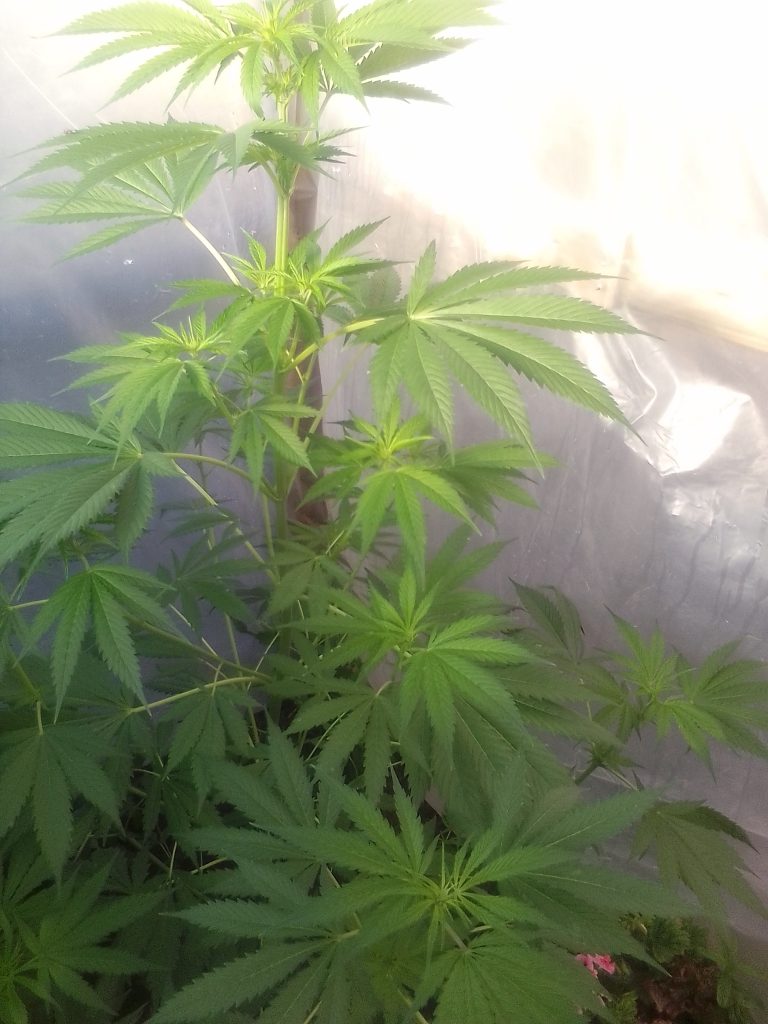 Image #1 from Anonymous