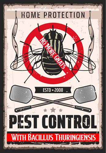 Hannas Seeds & Garden Centre - Fungus gnats causing you grief? “Pot Poppers”  are nematodes that will control fungus gnats and thrips in indoor house  plants. Just pop, drop and water in