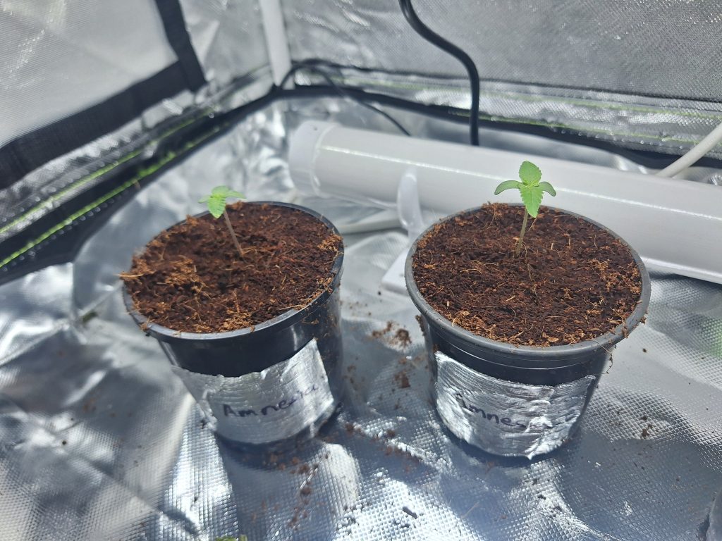 Image #1 from Anonymous