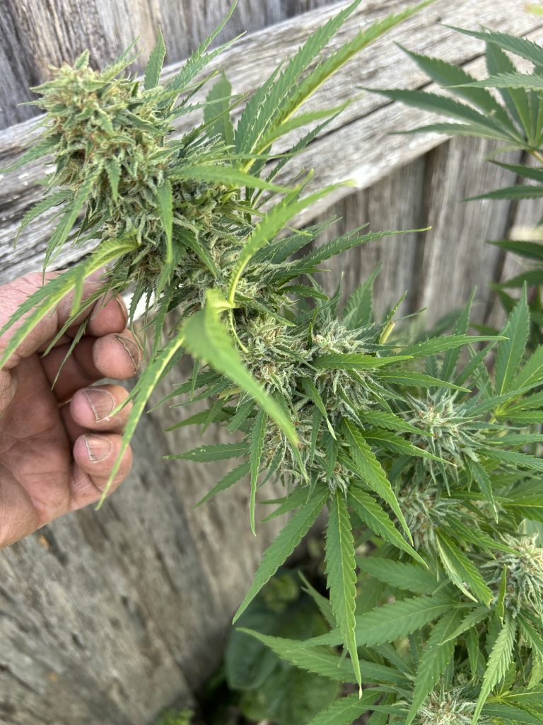 Image #1 from Anonymous