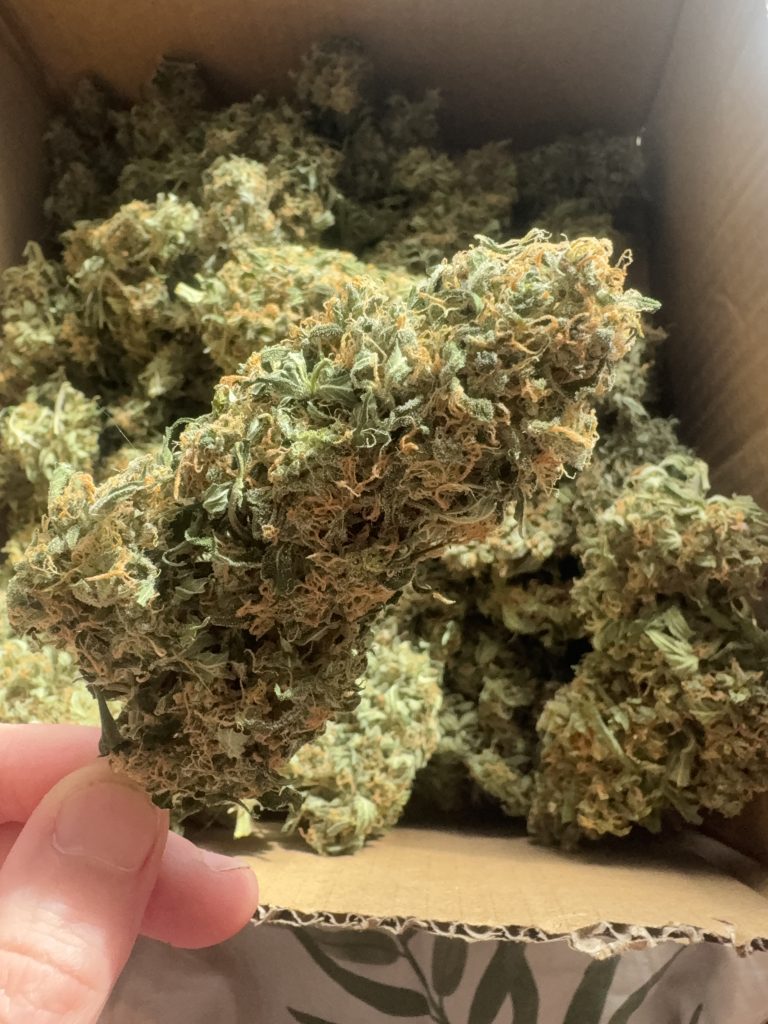 Image #3 from Anonymous