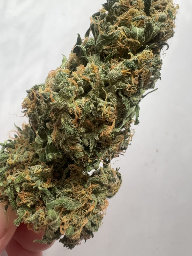 Image #1 from Anonymous