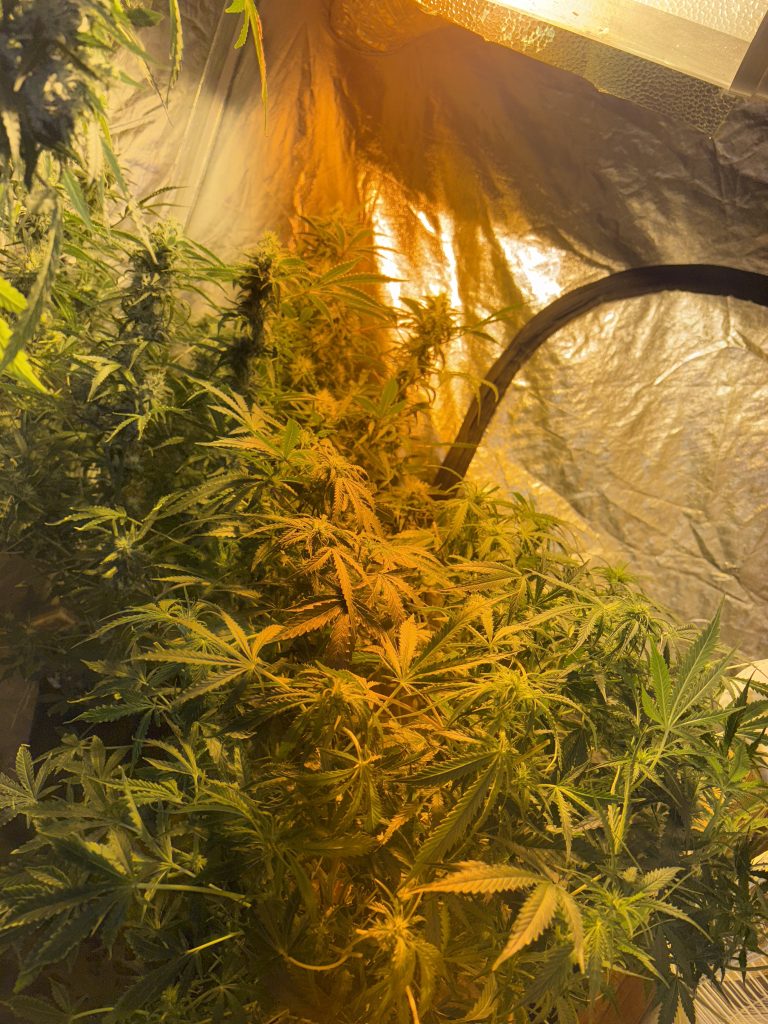 Image #2 from Anonymous