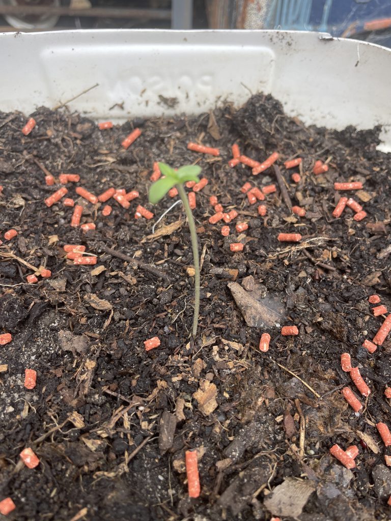 Image #1 from Nancy A.