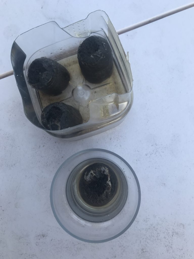 Image #1 from Robert Ford