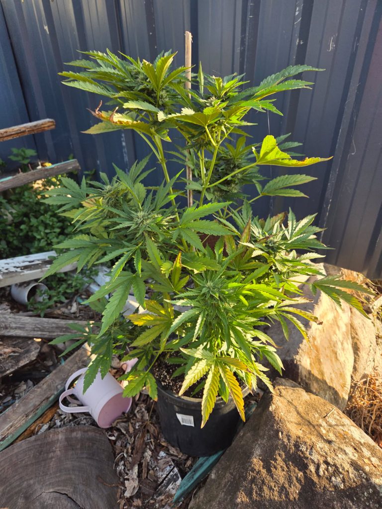 Image #1 from Anonymous