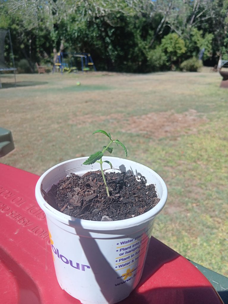 Image #1 from David Sattler