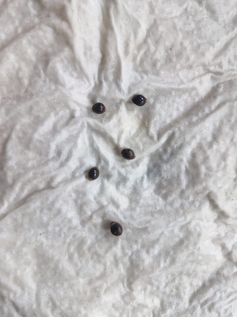 Image #1 from Anonymous