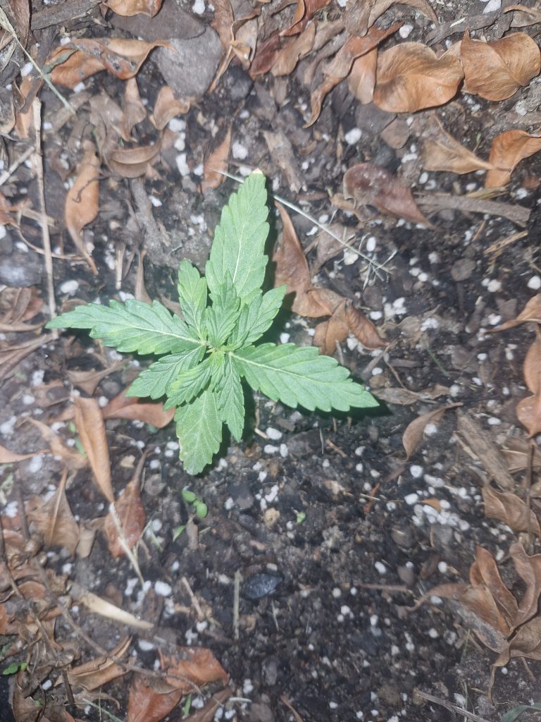 Image #1 from Anonymous