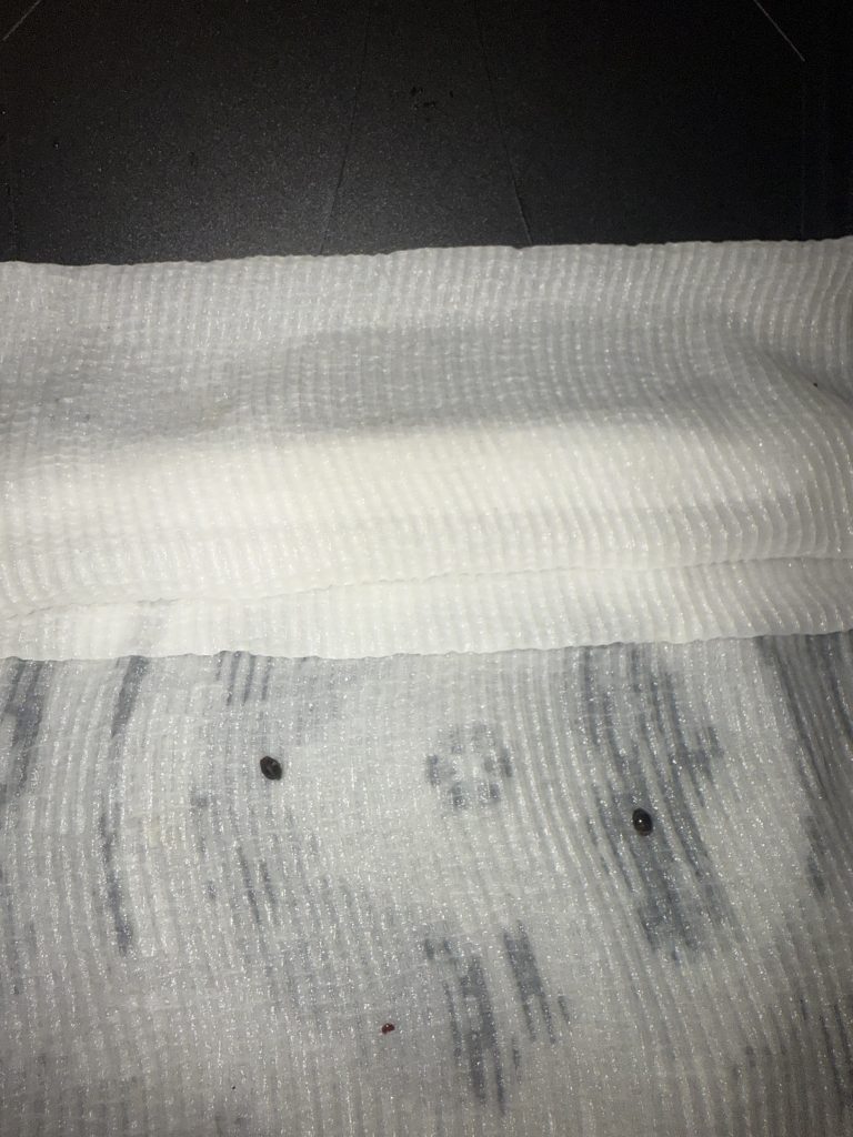 Image #1 from christoher sammons