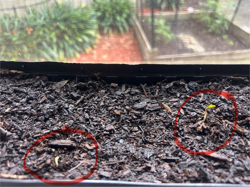 Image #1 from Anonymous