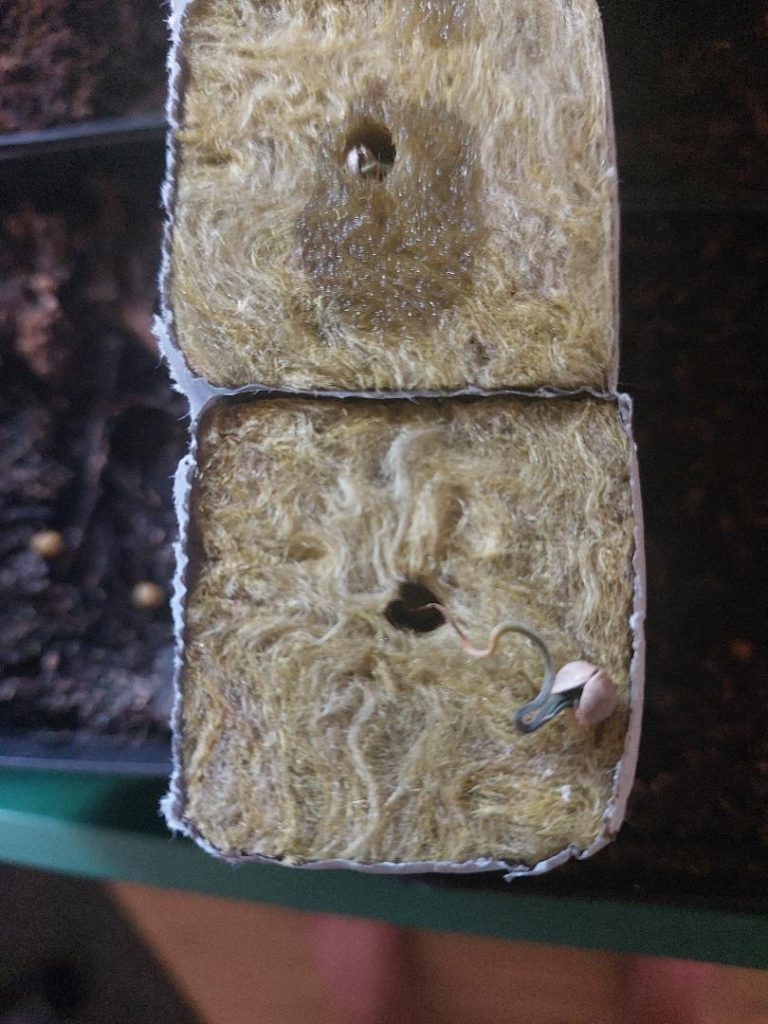 Image #1 from Joel D.