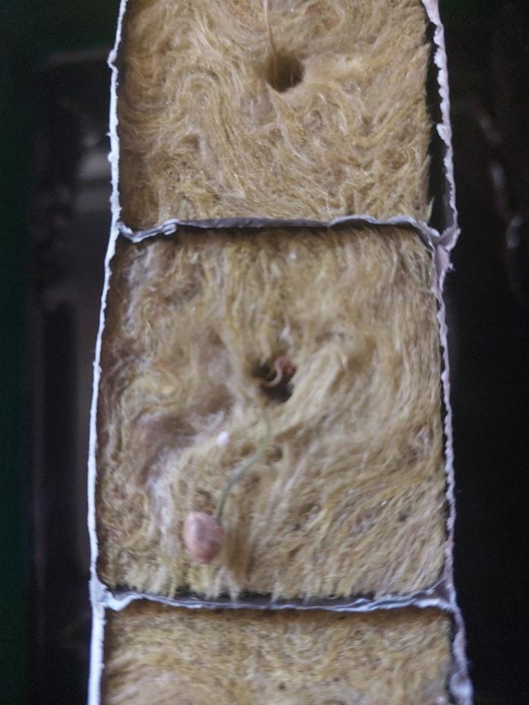 Image #2 from Joel D.