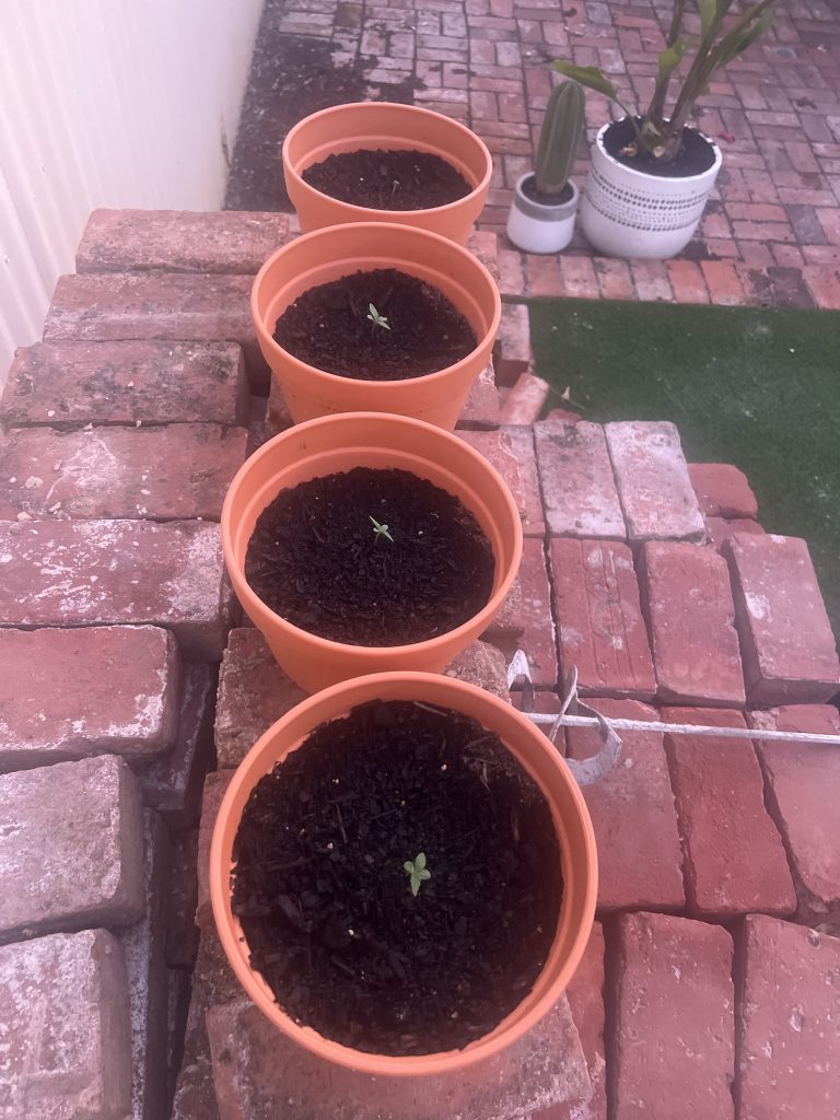 Image #1 from Anonymous