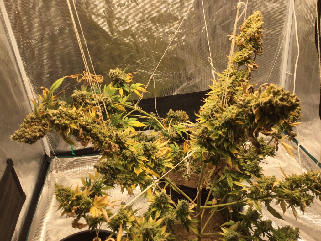 Image #2 from Anonymous