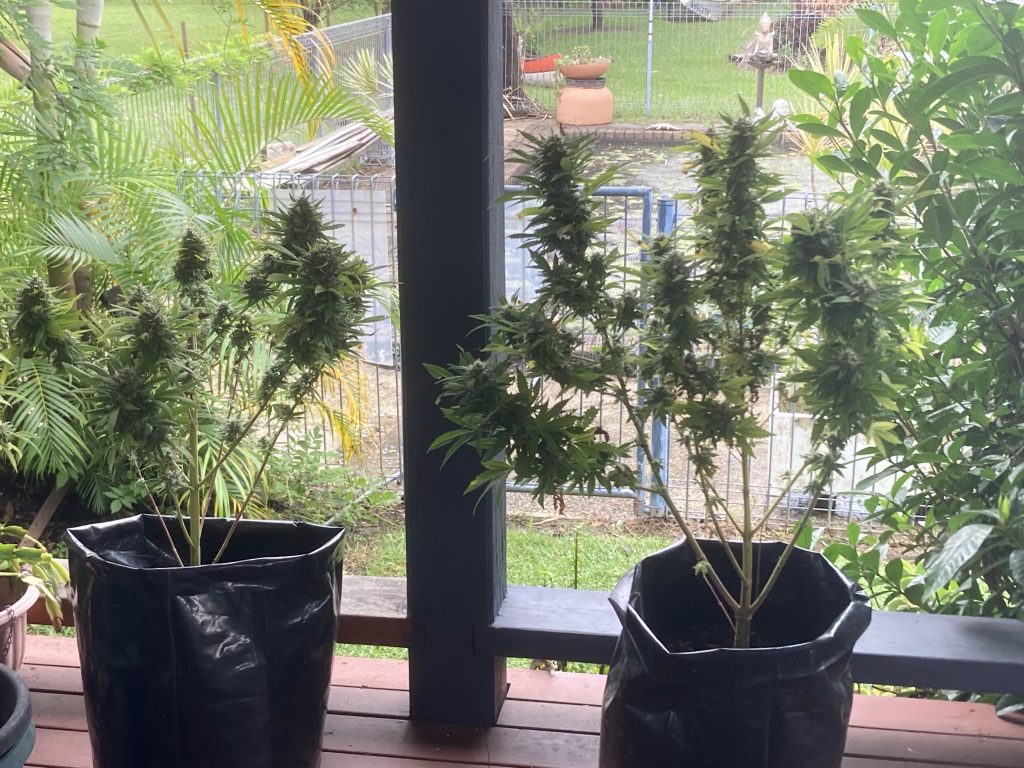 Image #1 from Warwick Botfield