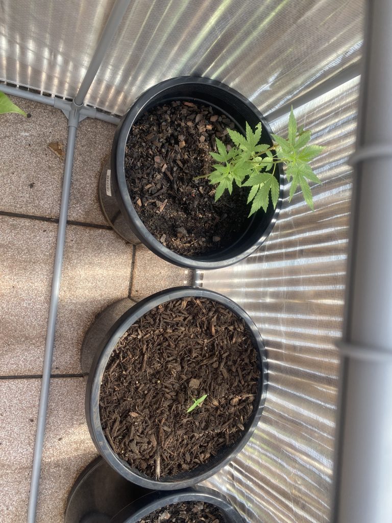 Image #1 from Sharon Welsh