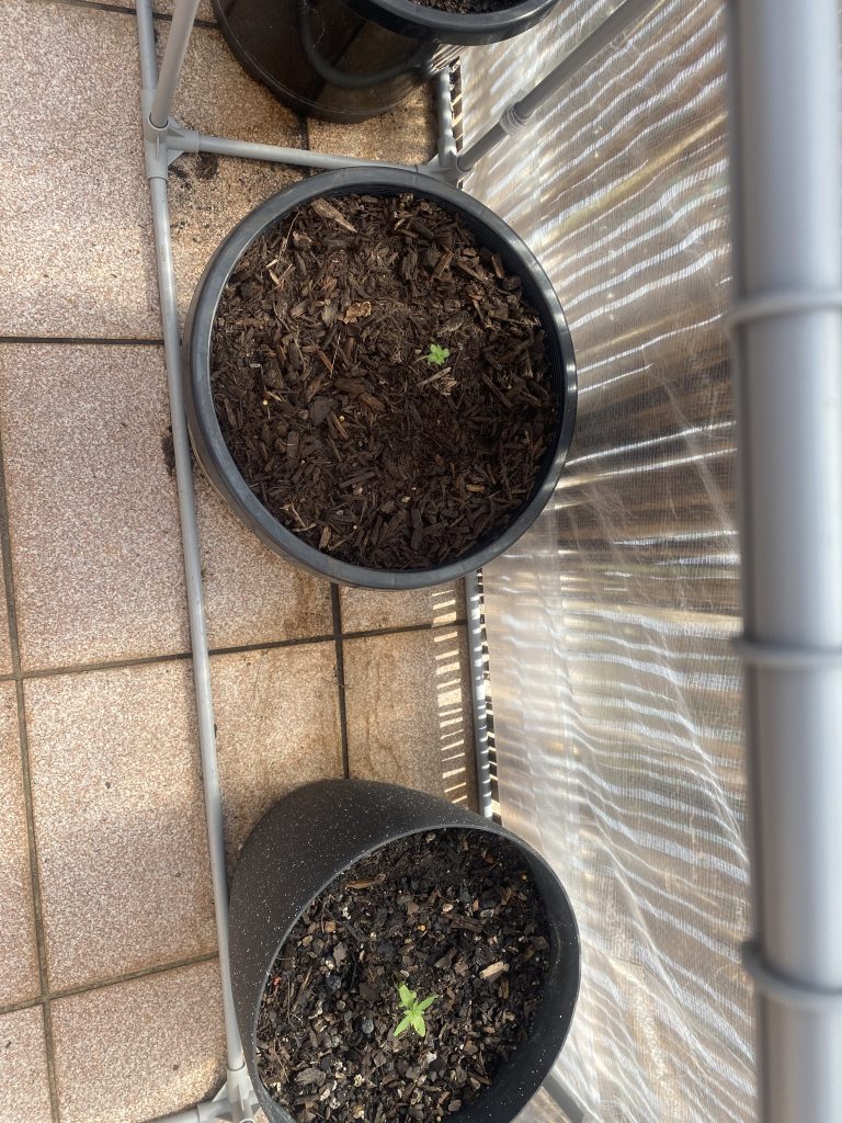 Image #2 from Sharon Welsh