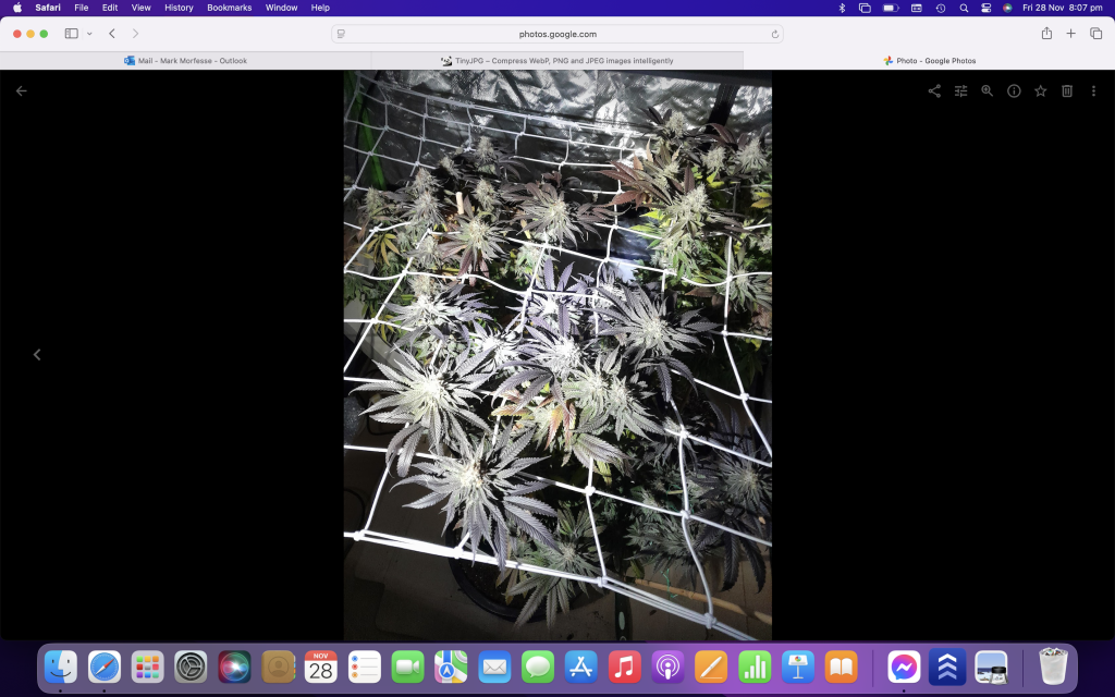 Image #2 from Mark M.