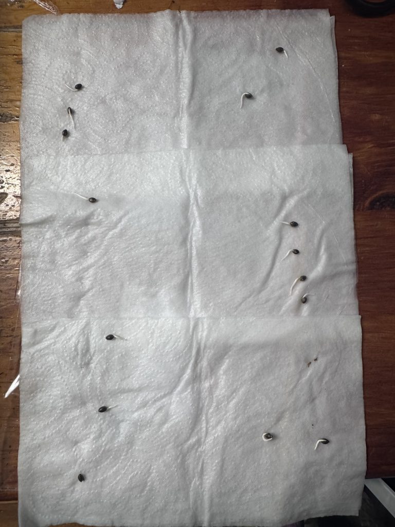 Image #1 from Anonymous