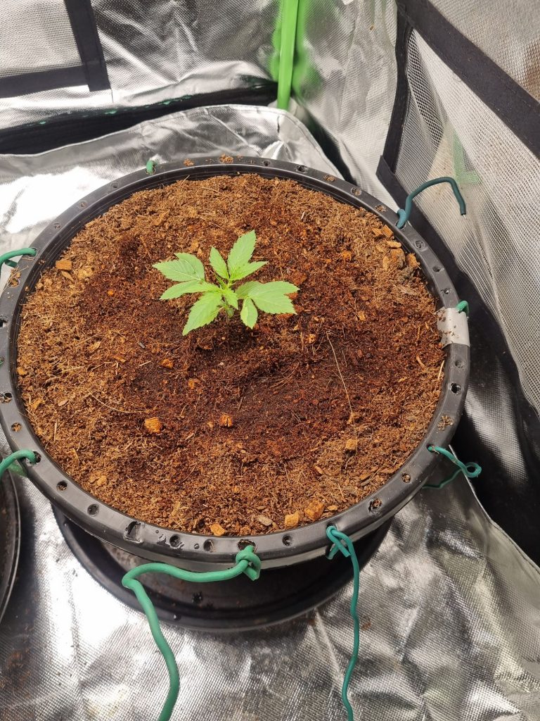 Image #1 from Anonymous