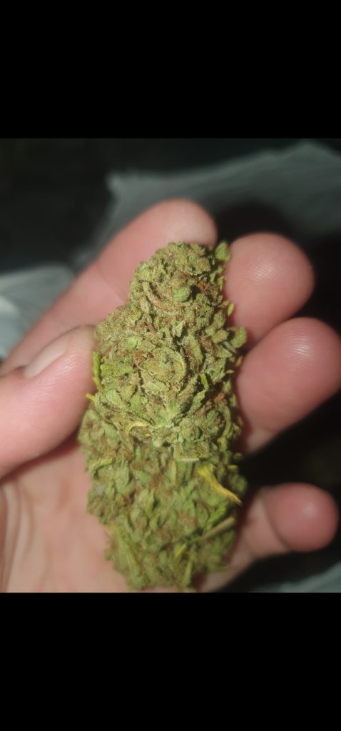Image #2 from Anonymous